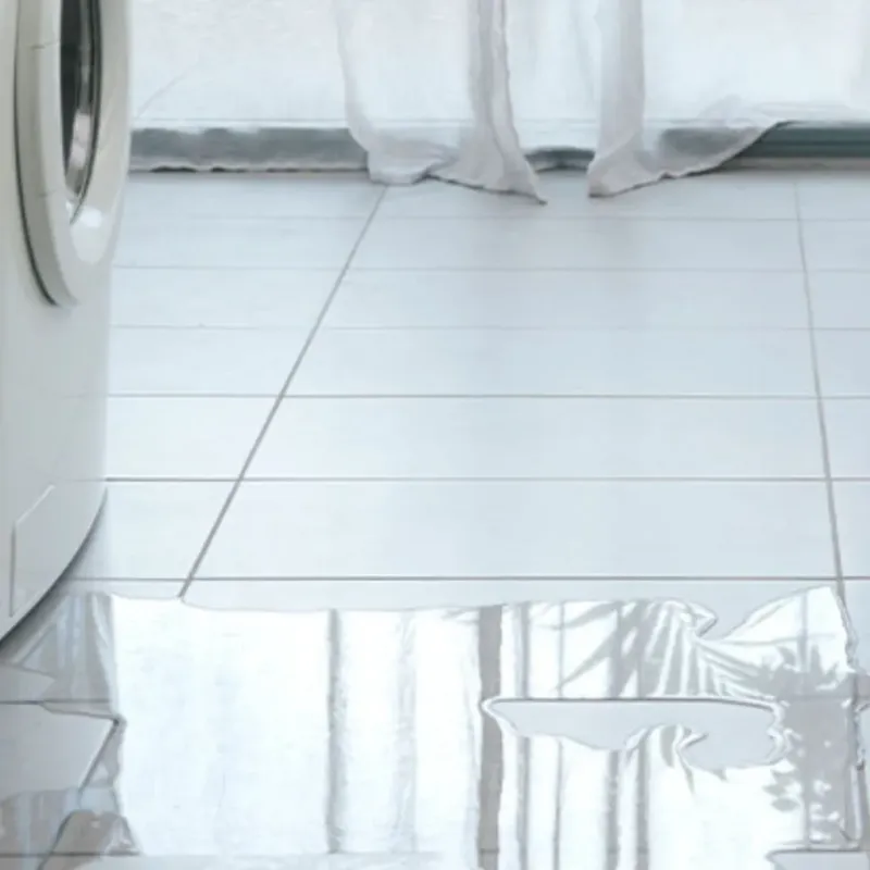 Appliance Leak Cleanup in Ferndale, WA