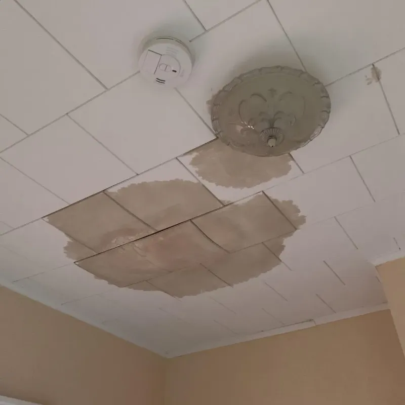 Ceiling Water Damage Repair in Ferndale, WA