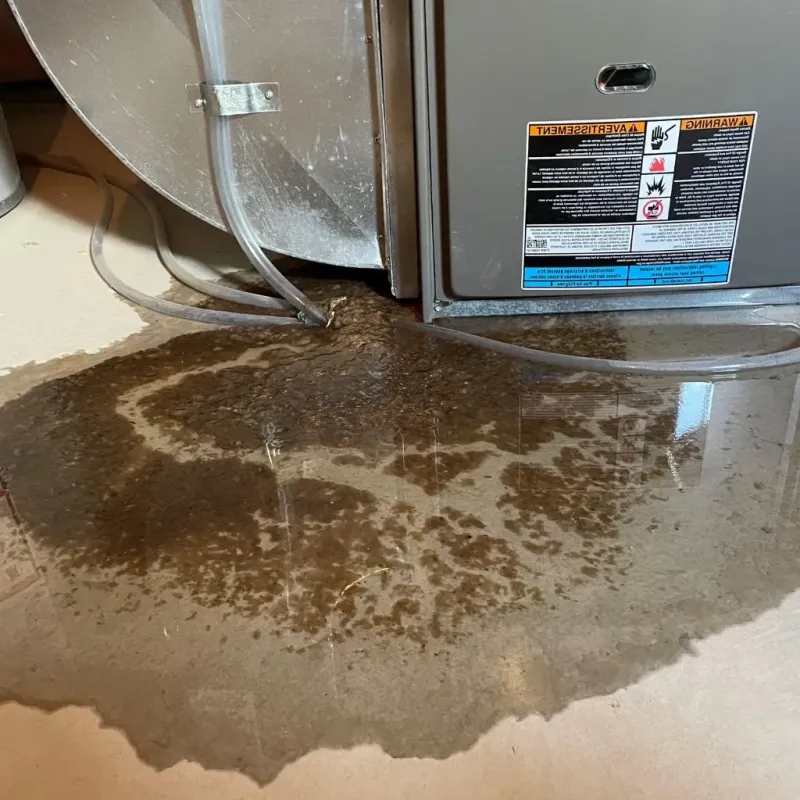Pipe Burst and Leak Restoration in Ferndale, WA